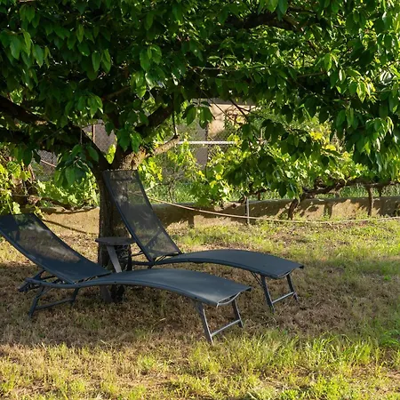 L'ametller, Emporda, Costa Brava Ordis